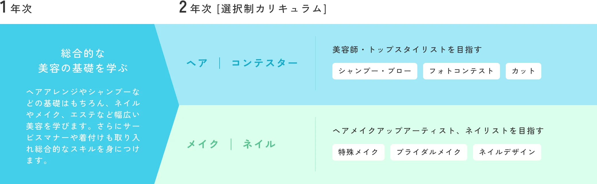 1年目はビューティの基礎を幅広く学び、2年目はやりたいこと、進みたい道にあったコースを選択できる！