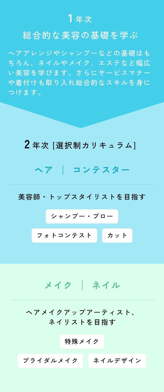 1年目はビューティの基礎を幅広く学び、2年目はやりたいこと、進みたい道にあったコースを選択できる！